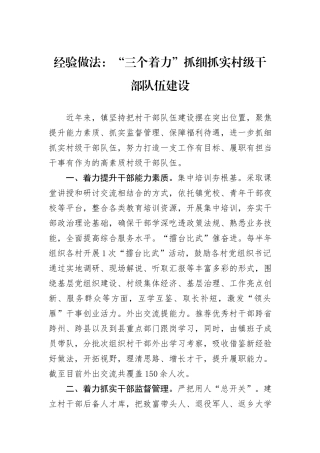 经验做法：“三个着力”抓细抓实村级干部队伍建设