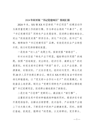 2024年村开展“书记党建项目”情况汇报