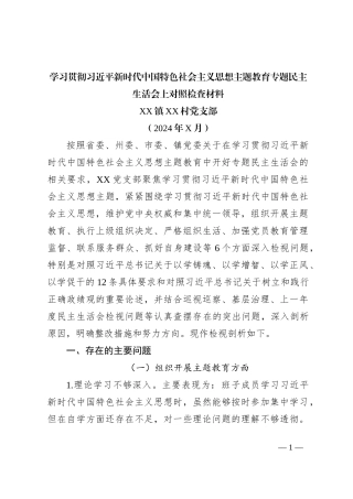 XX村学习新时代主题教育班子对照材料