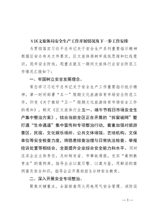 X区文旅体局安全生产工作开展情况及下一步工作安排