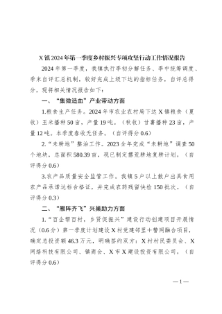 X镇2024年第一季度乡村振兴专项攻坚行动工作情况报告