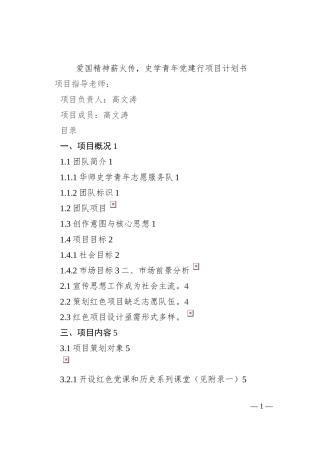 爱国精神薪火传，史学青年党建行项目计划书