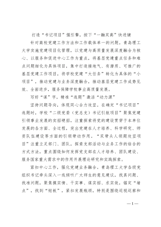 打造“书记项目”强引擎，按下“一融双高”快进键