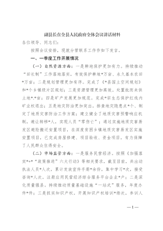 副县长在全县人民政府全体会议讲话材料