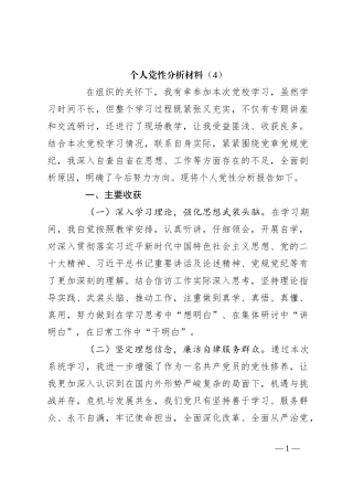 个人党性分析材料（4）