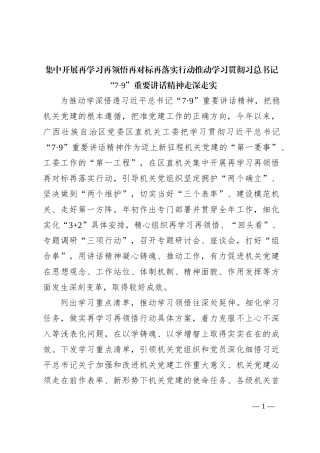 集中开展再学习再领悟再对标再落实行动推动学习贯彻习总书记“7·9”重要讲话精神走深走实