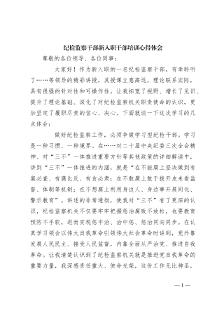 纪检监察干部新入职干部培训心得体会