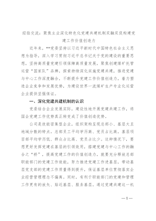 经验交流： 聚焦主业深化特色化党建共建机制双融双促构建党建工作价值创造力