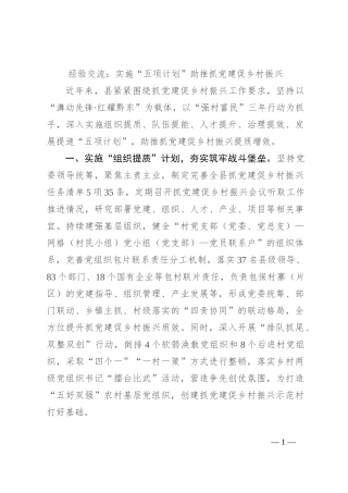 经验交流：实施“五项计划”助推抓党建促乡村振兴
