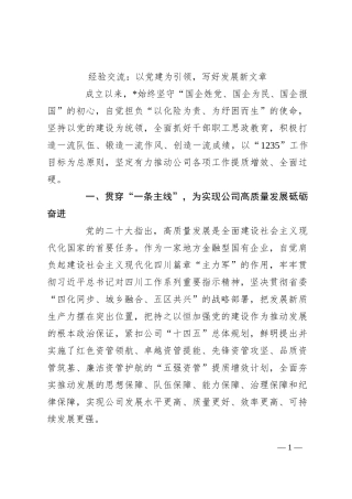 经验交流：以党建为引领，写好发展新文章