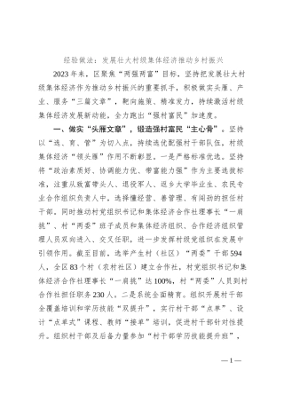 经验做法：发展壮大村级集体经济推动乡村振兴