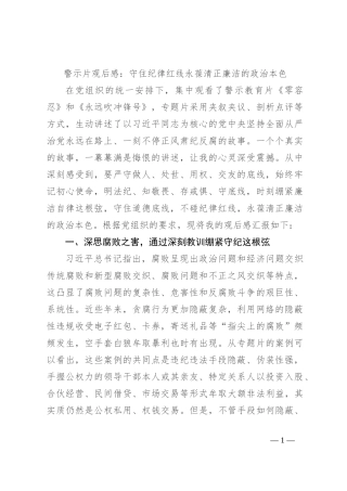 警示片观后感：守住纪律红线 永葆清正廉洁的政治本色