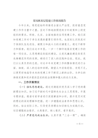 某局抓基层党建工作情况报告