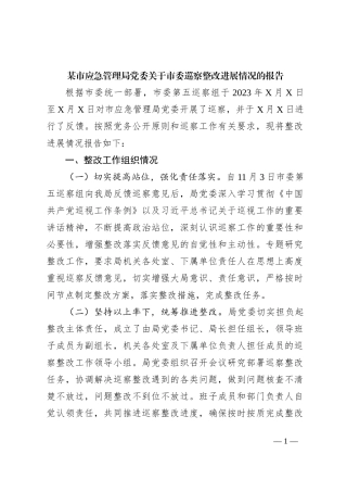 某市应急管理局党委关于市委巡察整改进展情况的报告