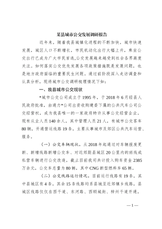 某县城市公交发展调研报告