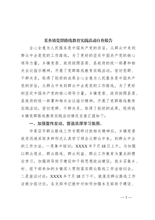 某乡镇党群路线教育实践活动自查报告