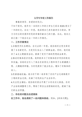 年度工作报告（参考模板）