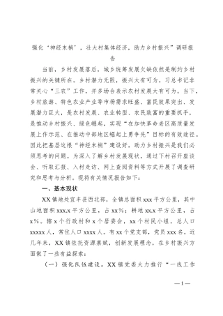 强化‘神经末梢’，壮大村集体经济，助力乡村振兴”调研报告