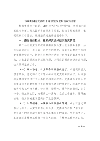 市幼儿园党支部关于巡察整改进展情况的报告