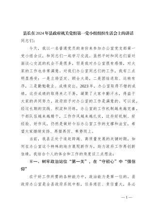 县长在2024年县政府机关党组第一党小组组织生活会上的讲话