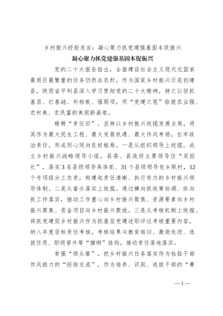 乡村振兴经验发言：凝心聚力抓党建 强基固本促振兴