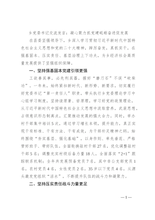 乡党委书记交流发言：凝心聚力抓党建 砥砺奋进促发展