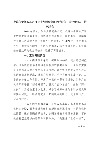 乡镇党委书记2024年上半年履行全面从严治党