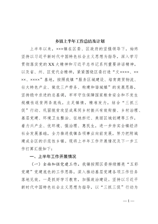 乡镇上半年工作总结及计划