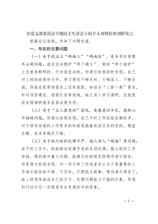 在党支部委员会专题民主生活会上的个人对照检查剖析发言