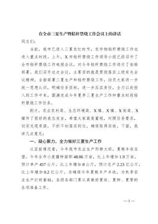 在全市三夏生产暨秸秆禁烧工作会议上的讲话