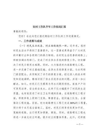 驻村工作队半年工作情况汇报