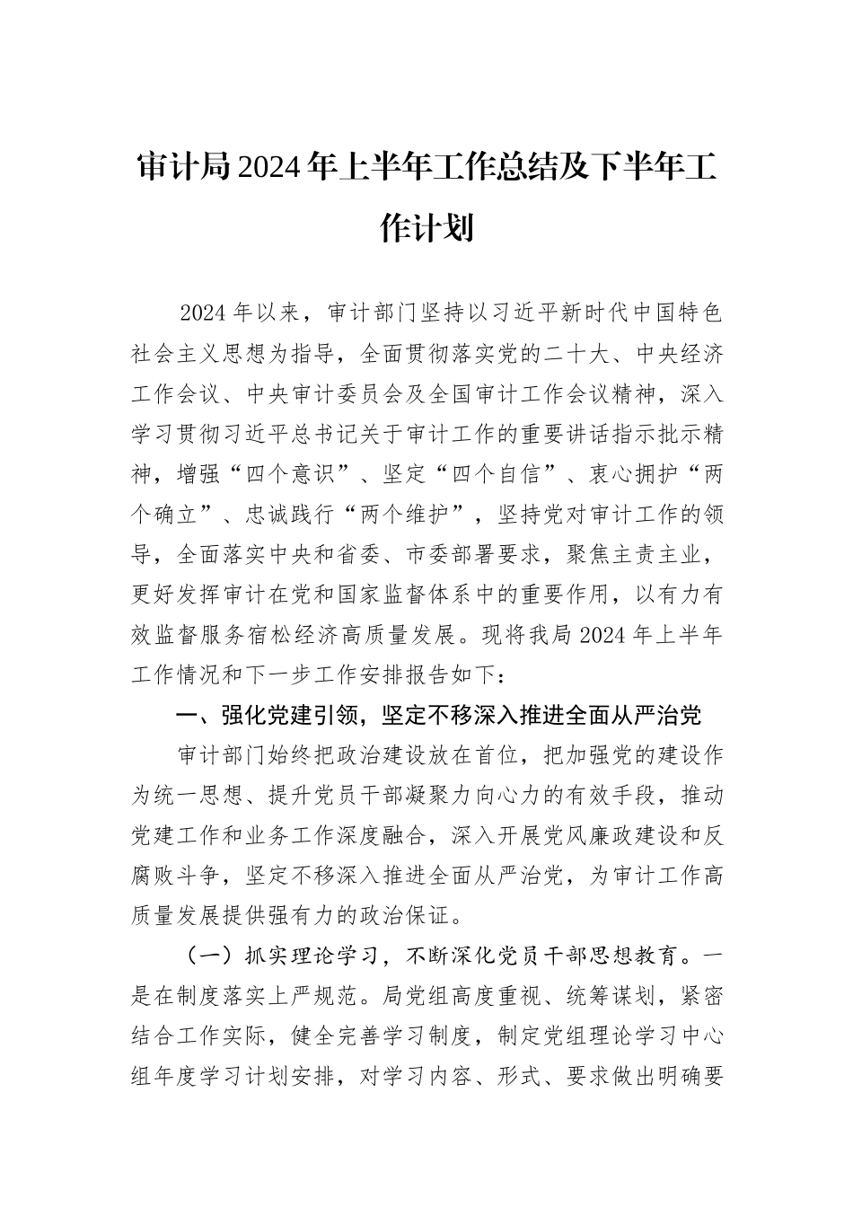 审计局2024年上半年工作总结及下半年工作计划_第1页