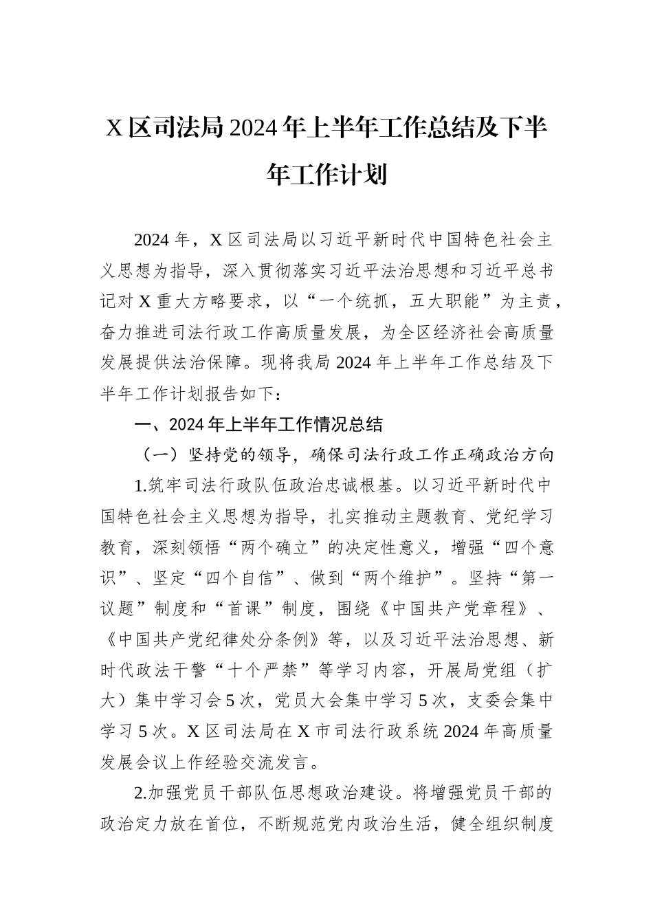 X区司法局2024年上半年工作总结及下半年工作计划_第1页