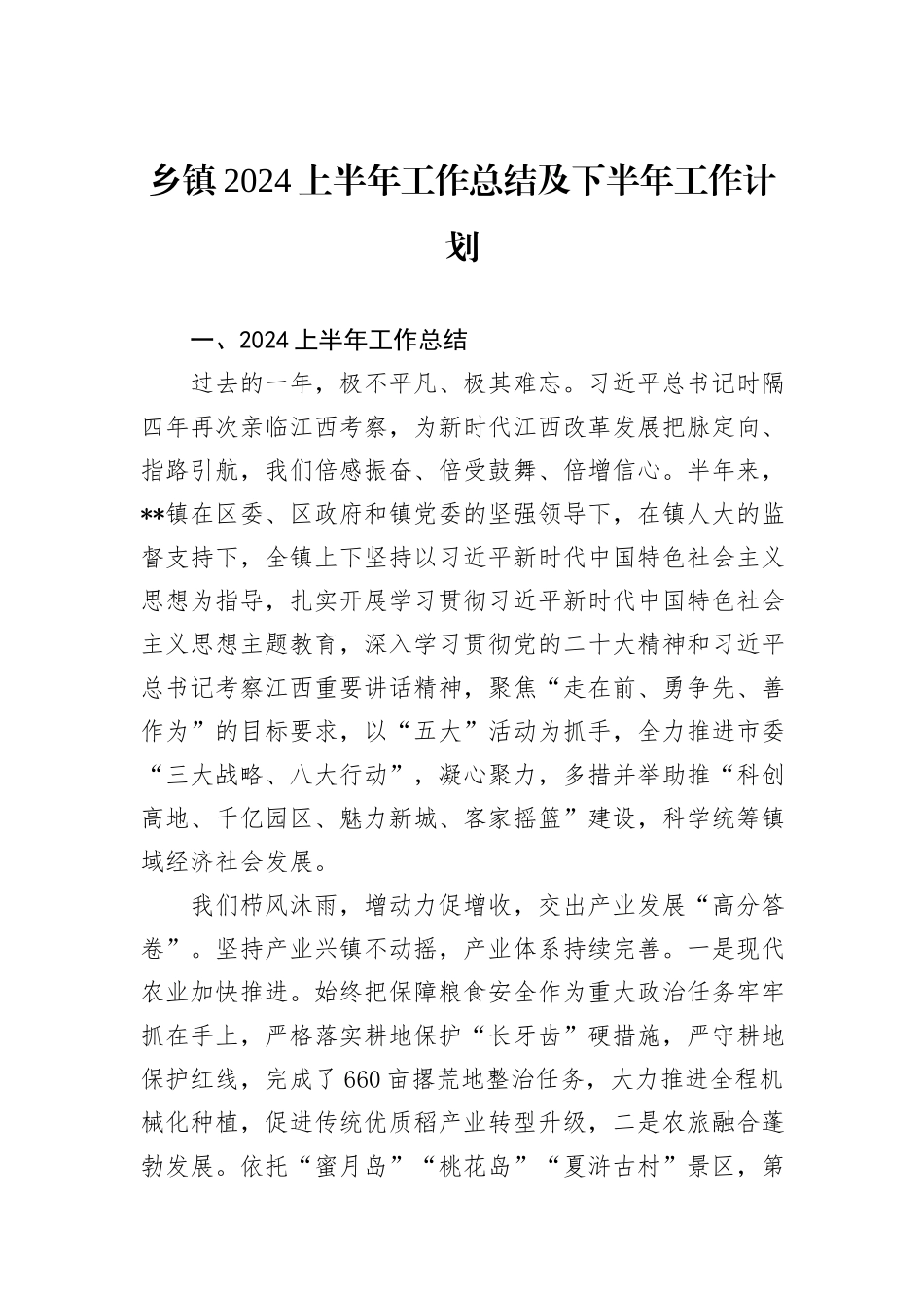 乡镇2024上半年工作总结及下半年工作计划_第1页