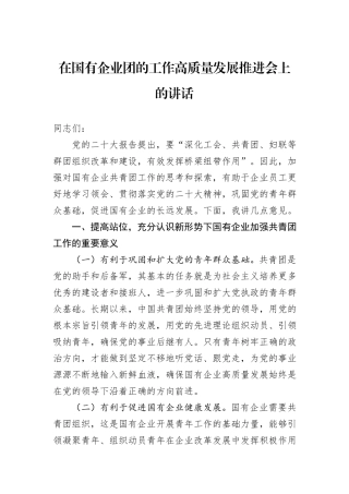在国有企业团的工作高质量发展推进会上的讲话