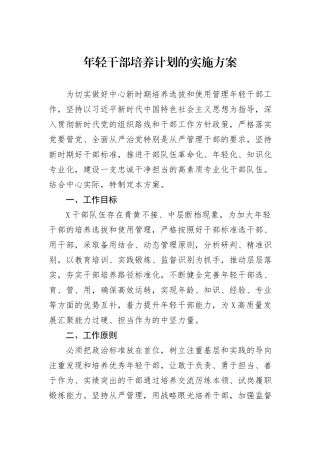 年轻干部培养计划的实施方案