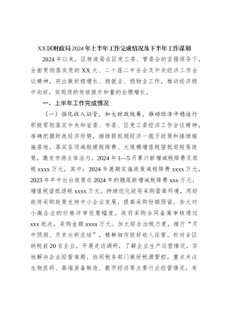 XX区财政局2024年上半年工作完成情况及下半年工作谋划