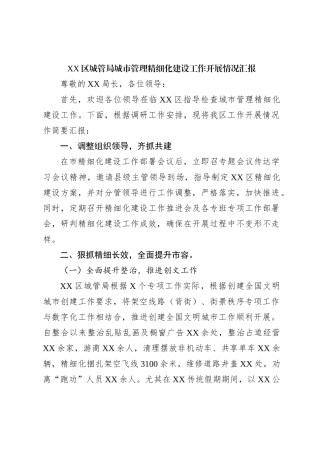 XX区城管局城市管理精细化建设工作开展情况汇报