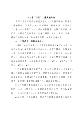 XX市“青壮”工作实施方案