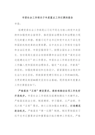 市委社会工作部关于年度重点工作打算的报告