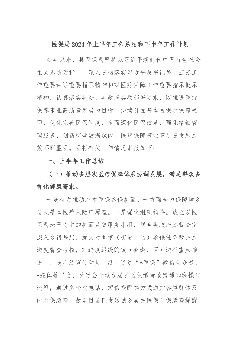 医保局2024年上半年工作总结和下半年工作计划_第1页