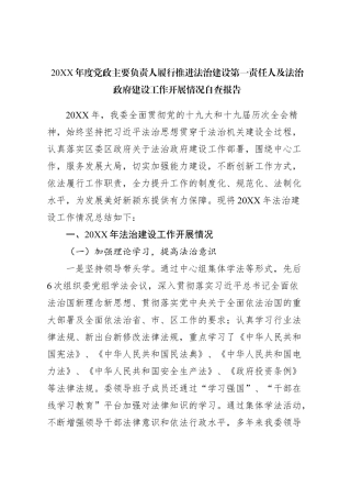 20XX年度党政主要负责人履行推进法治建设第一责任人及法治政府建设工作开展情况自查报告