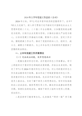 2024年上半年党建工作总结（公司）