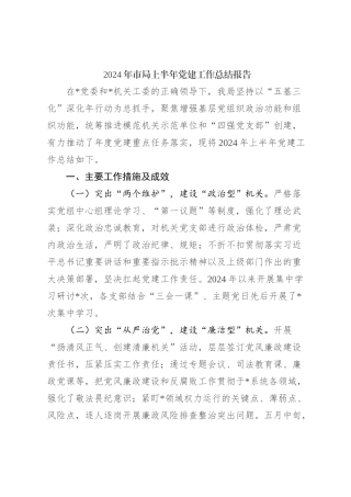 2024年市局上半年党建工作总结报告