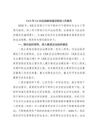 XXX年XX区法治政府建设情况工作报告