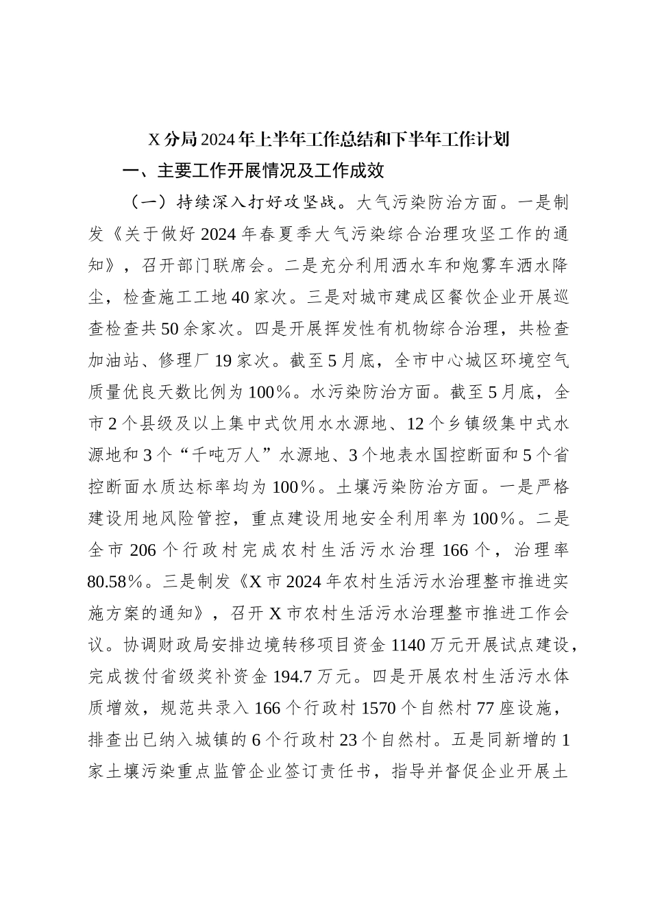 X分局2024年上半年工作总结和下半年工作计划_第1页