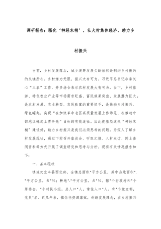 调研报告：强化‘神经末梢’，壮大村集体经济，助力乡村振兴