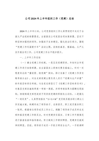 公司2024年上半年组织工作（党建）总结