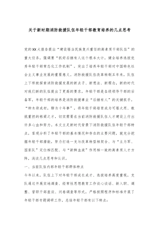 关于新时期消防救援队伍年轻干部教育培养的几点思考