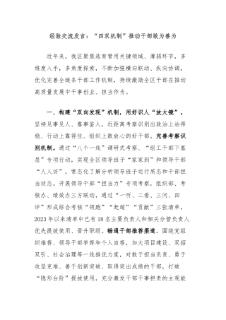 经验交流发言：“四双机制”推动干部敢为善为